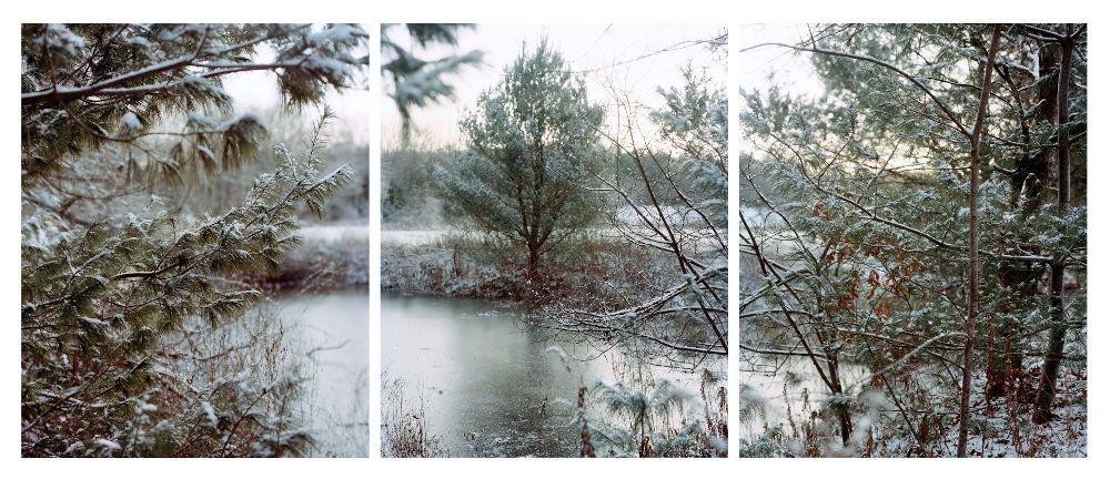 First snow, Hartwell Pond, archival pigment print, 13