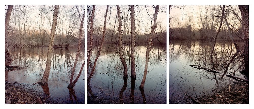 Spring Flood, Concord River, archival pigment print, 13