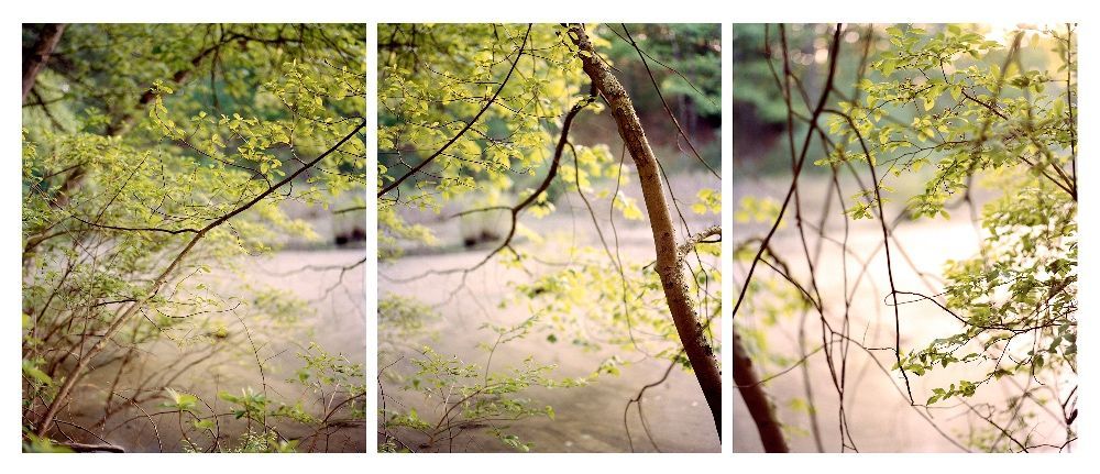 Vernal Pool, October Farm,  archival pigment print, 13