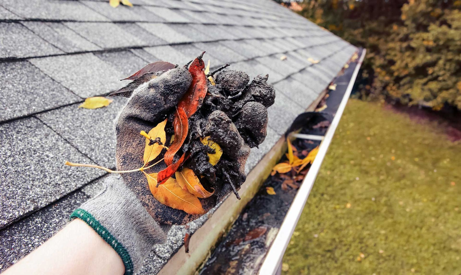 Gloved hand holding leaves and debris from a gutter on a house roof.