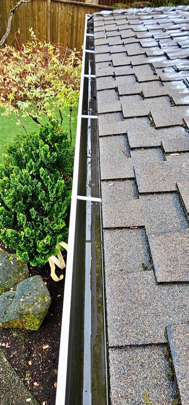 Rain gutter on a shingled roof next to a hedge and rocks.