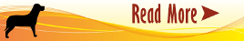 Dog Image, Animal Hospital in Diamond Bar, CA