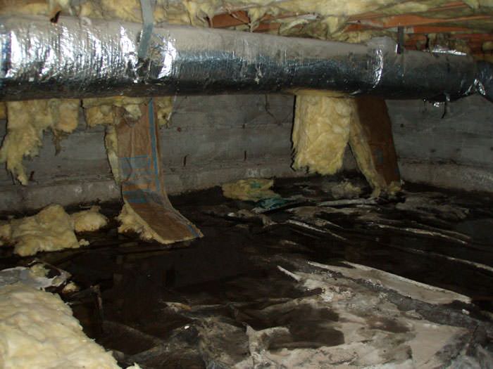 crawlspace damage