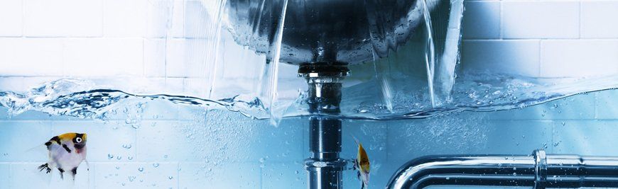 sink overflow