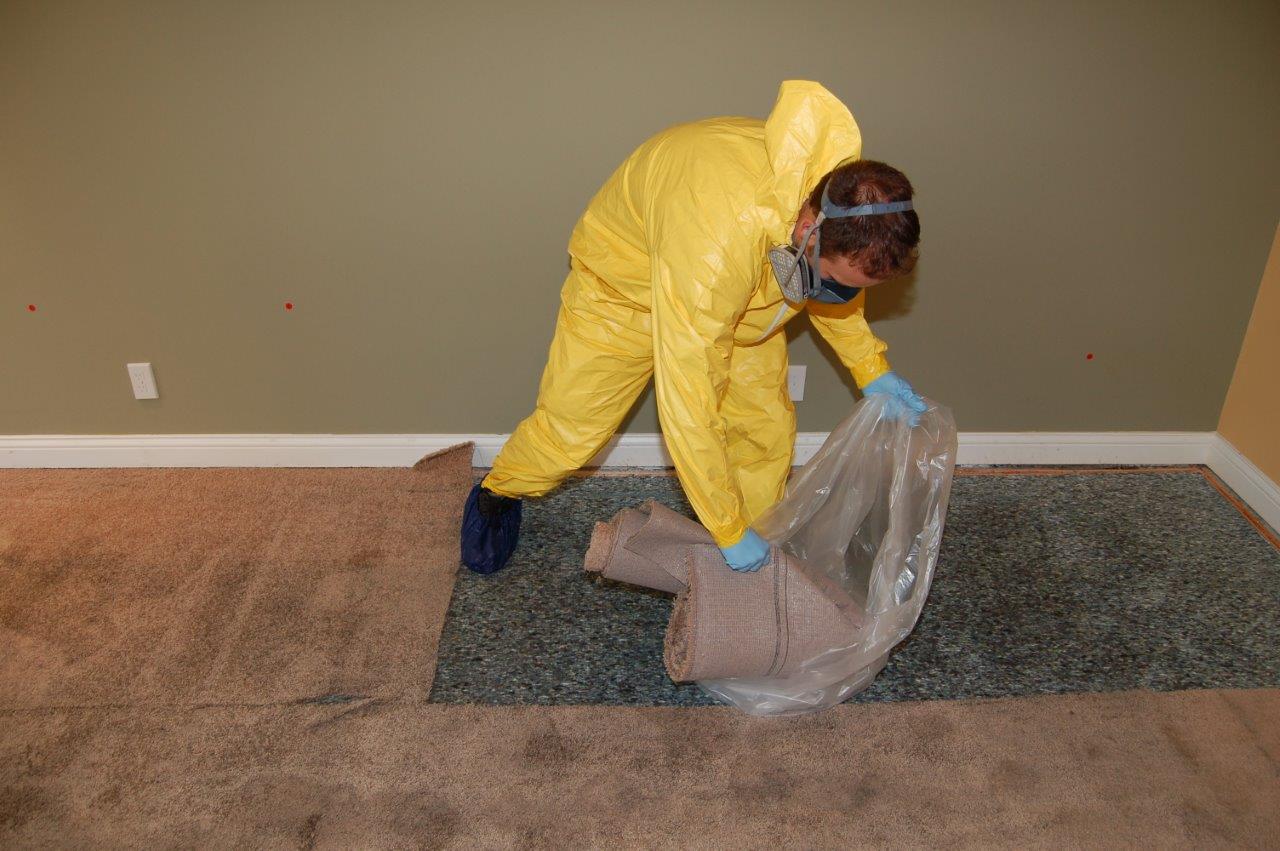 sewage soaked carpet