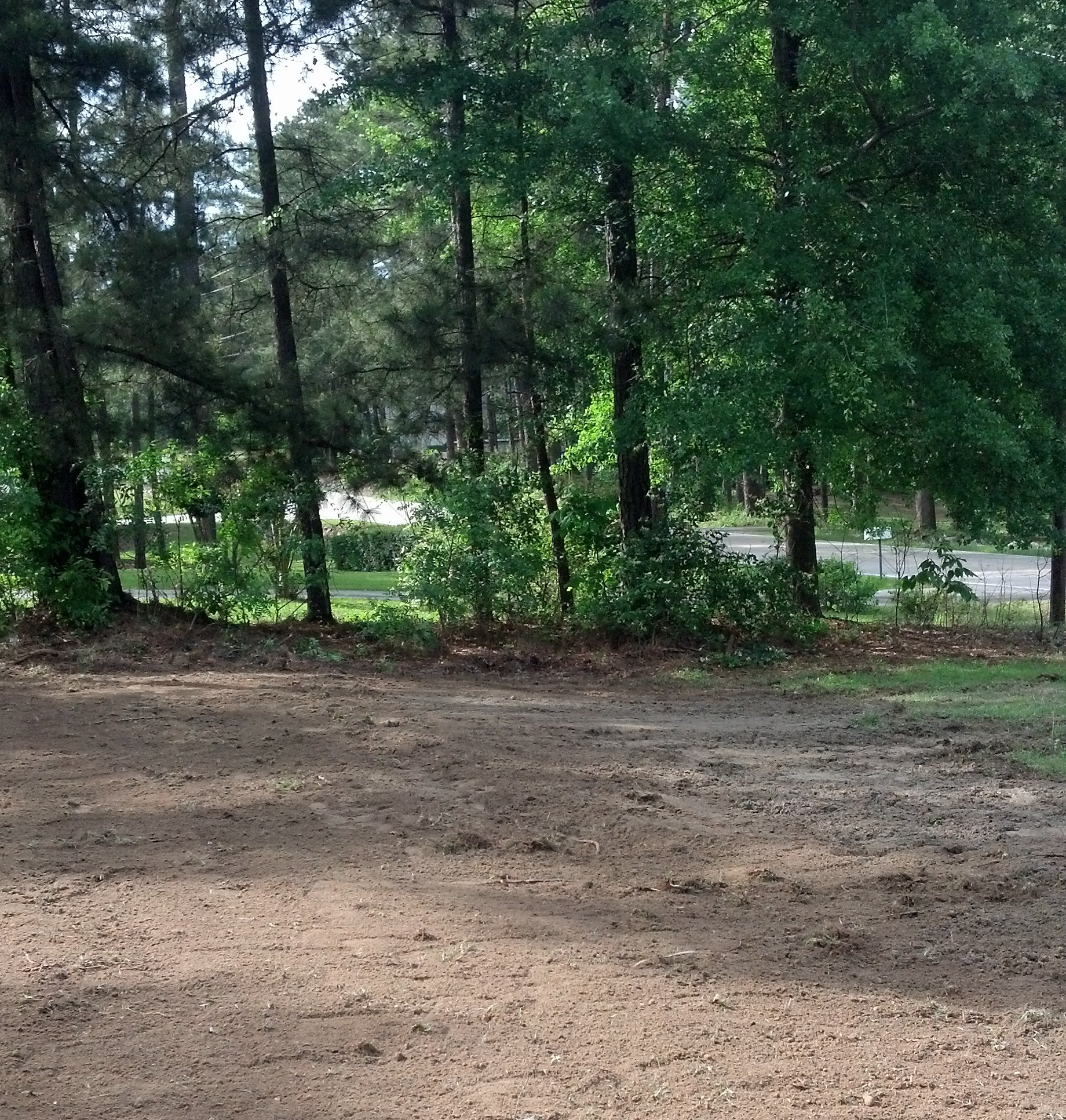 Plain Soil with Trees — Aiken, SC — Addie’s Septic Tank Plain Soil with Trees — Aiken, SC — Addie’s Septic Tank