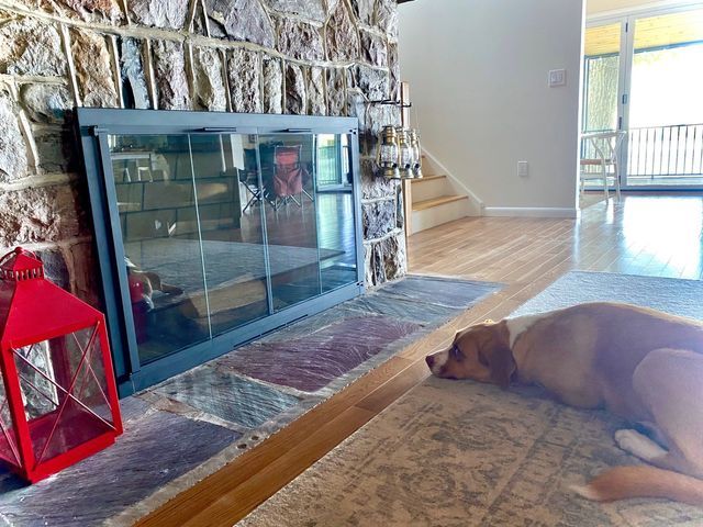 Fire Place Custom Doors — New Jersey — Firefox Energy Concepts