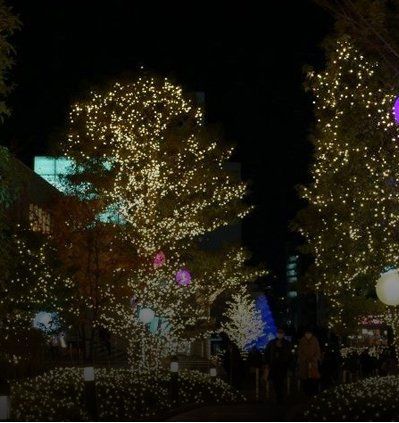 A row of trees are lit up with christmas lights at night