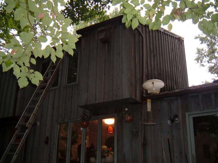 Dark wooden house exterior with a ladder, lit windows, and leafy branches overhead