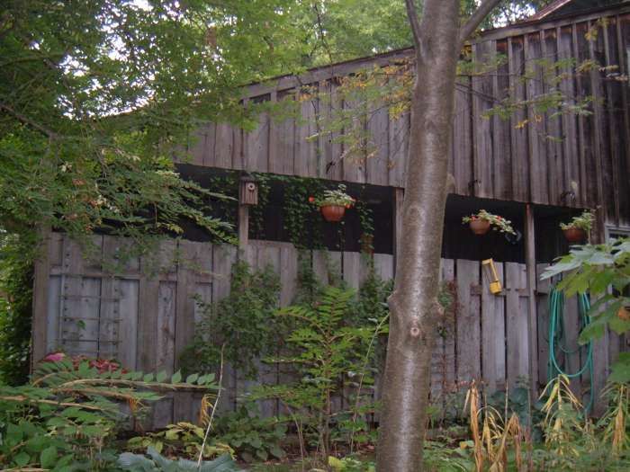 Wooden shed among lush garden greenery, with hanging flower baskets and a tree in front