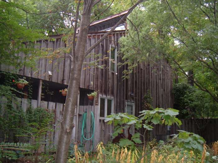 Rustic wooden house partially hidden by trees and greenery
