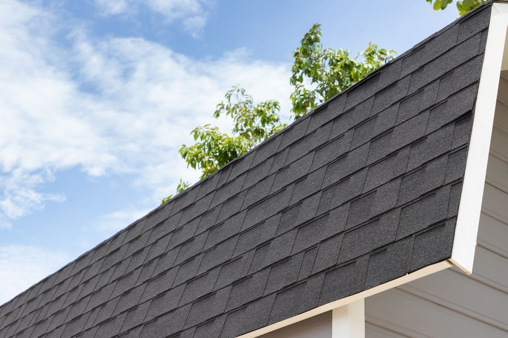 Close-up of a dark gray shingled roof with white trim against a blue sky and tree branches