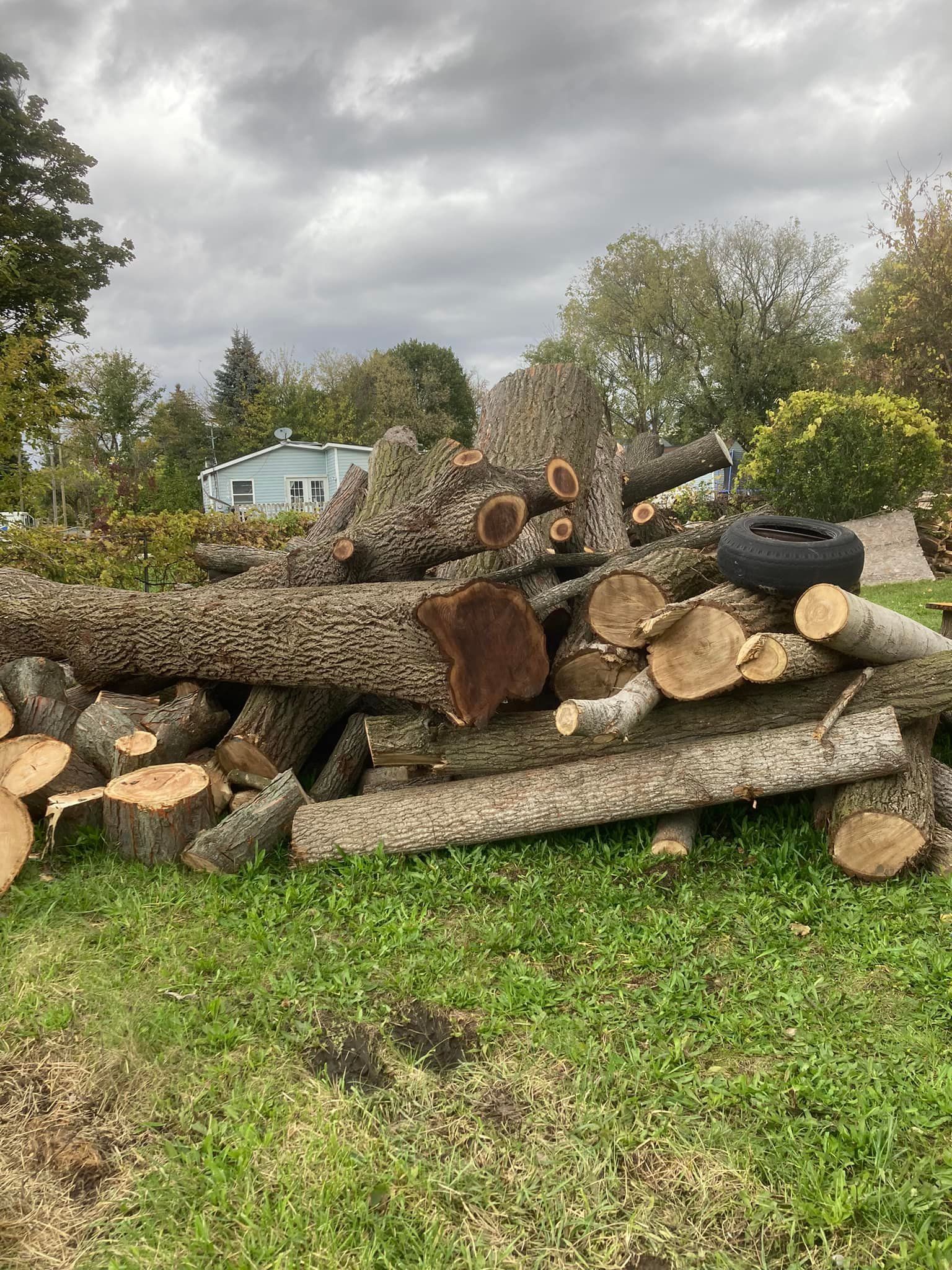 Lansing Tree Removal