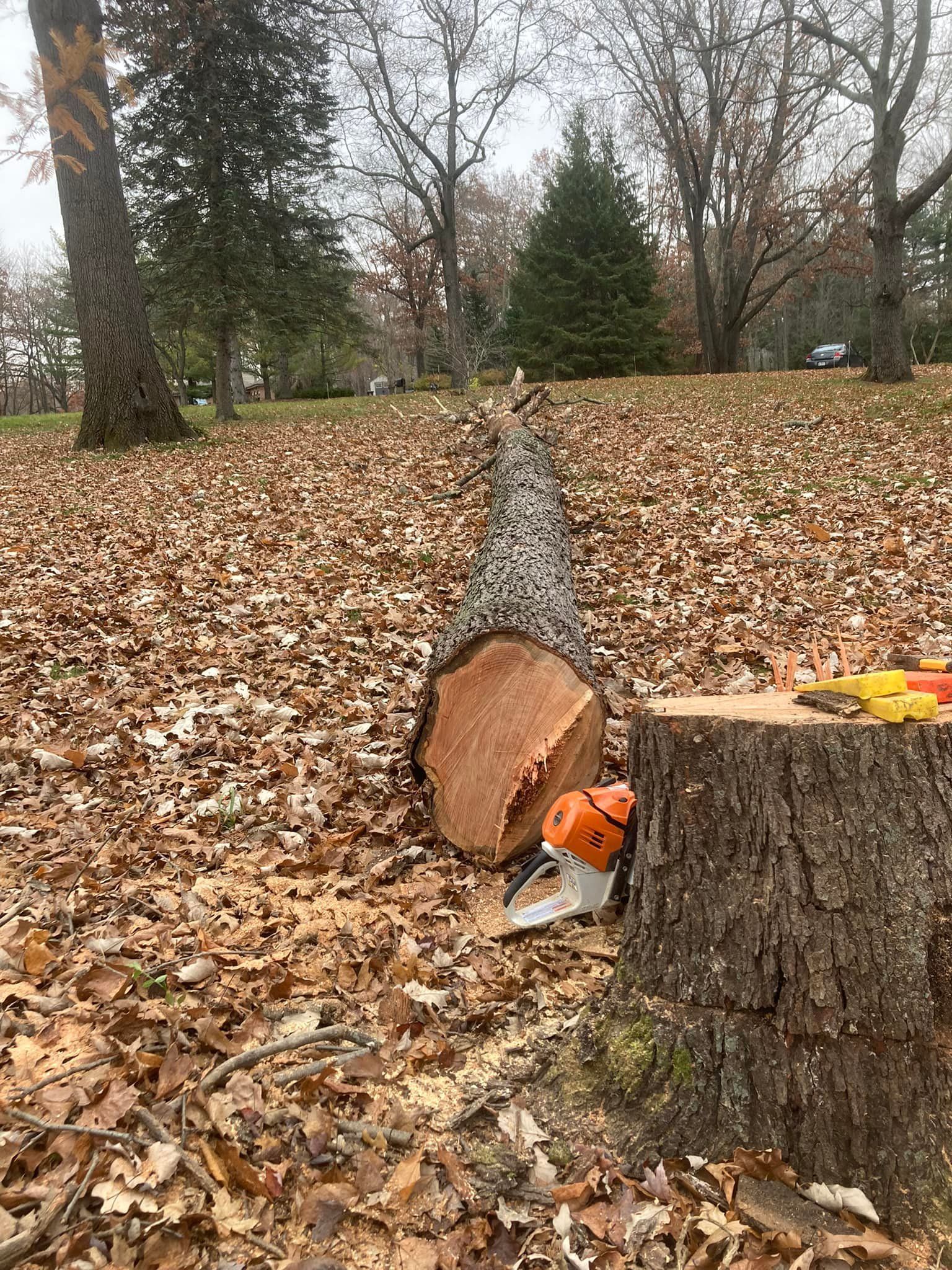 Lansing Michigan Tree Removal
