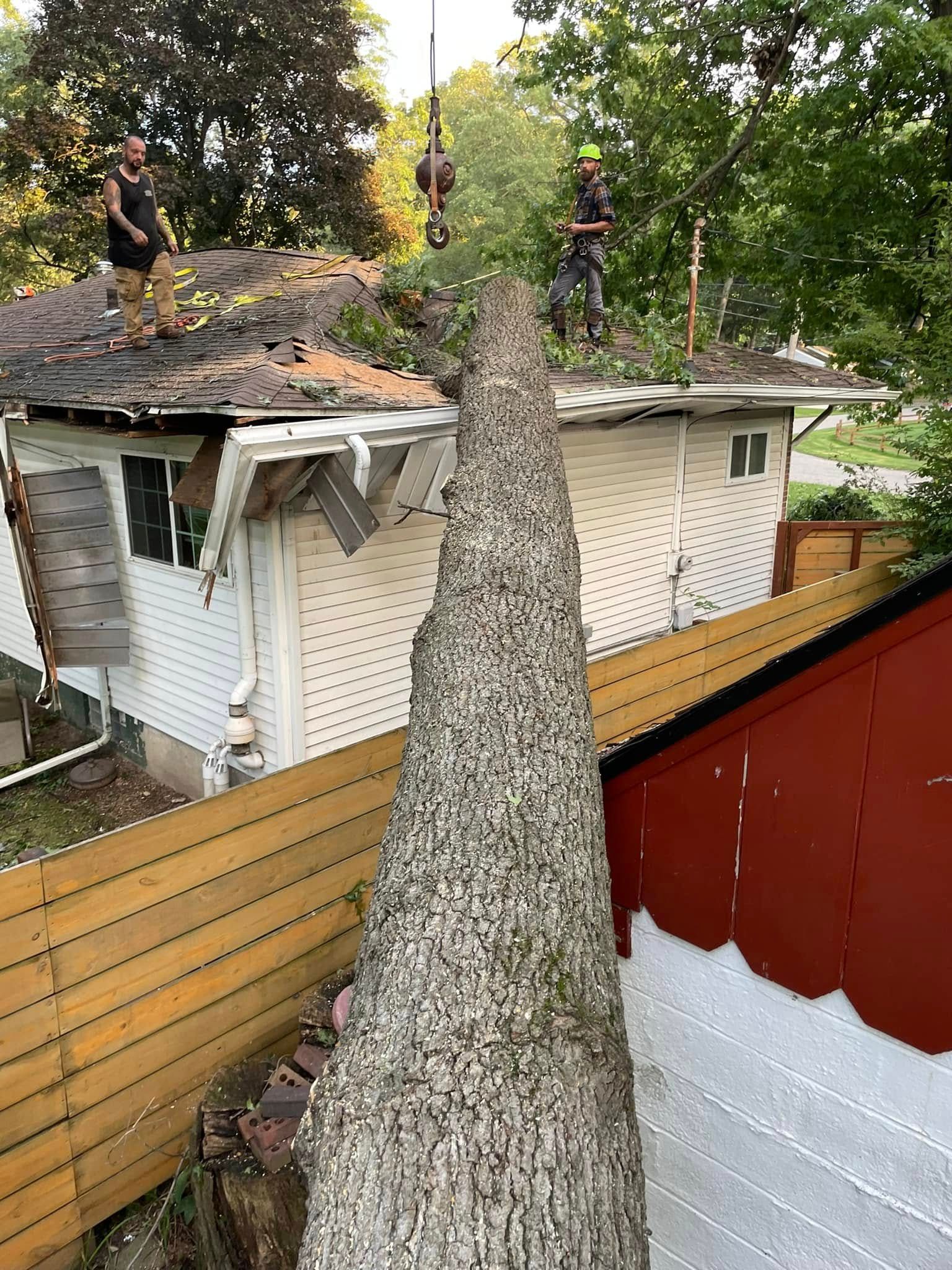 Lansing Michigan Tree Removal