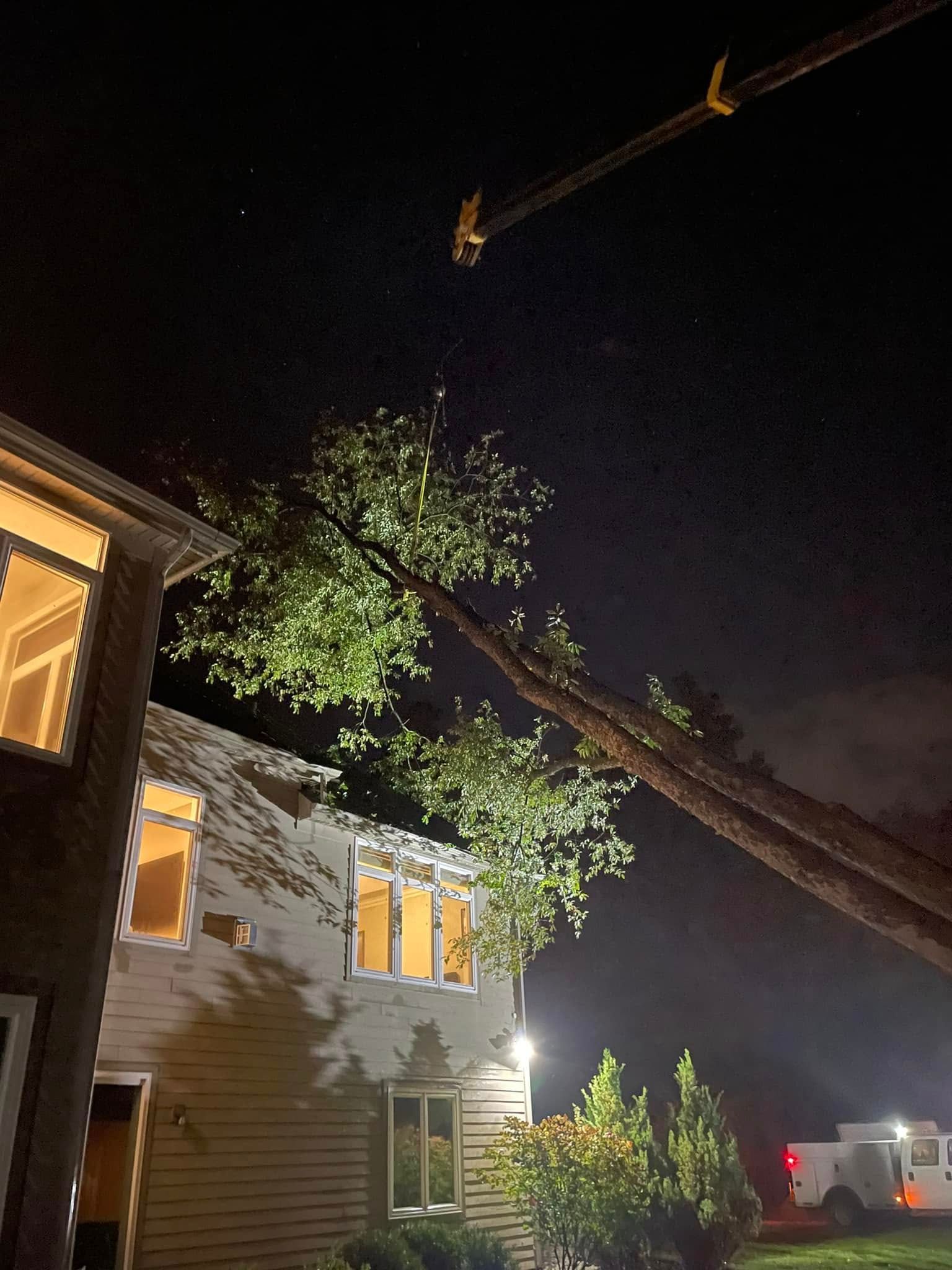 Lansing Michigan Tree Cutting