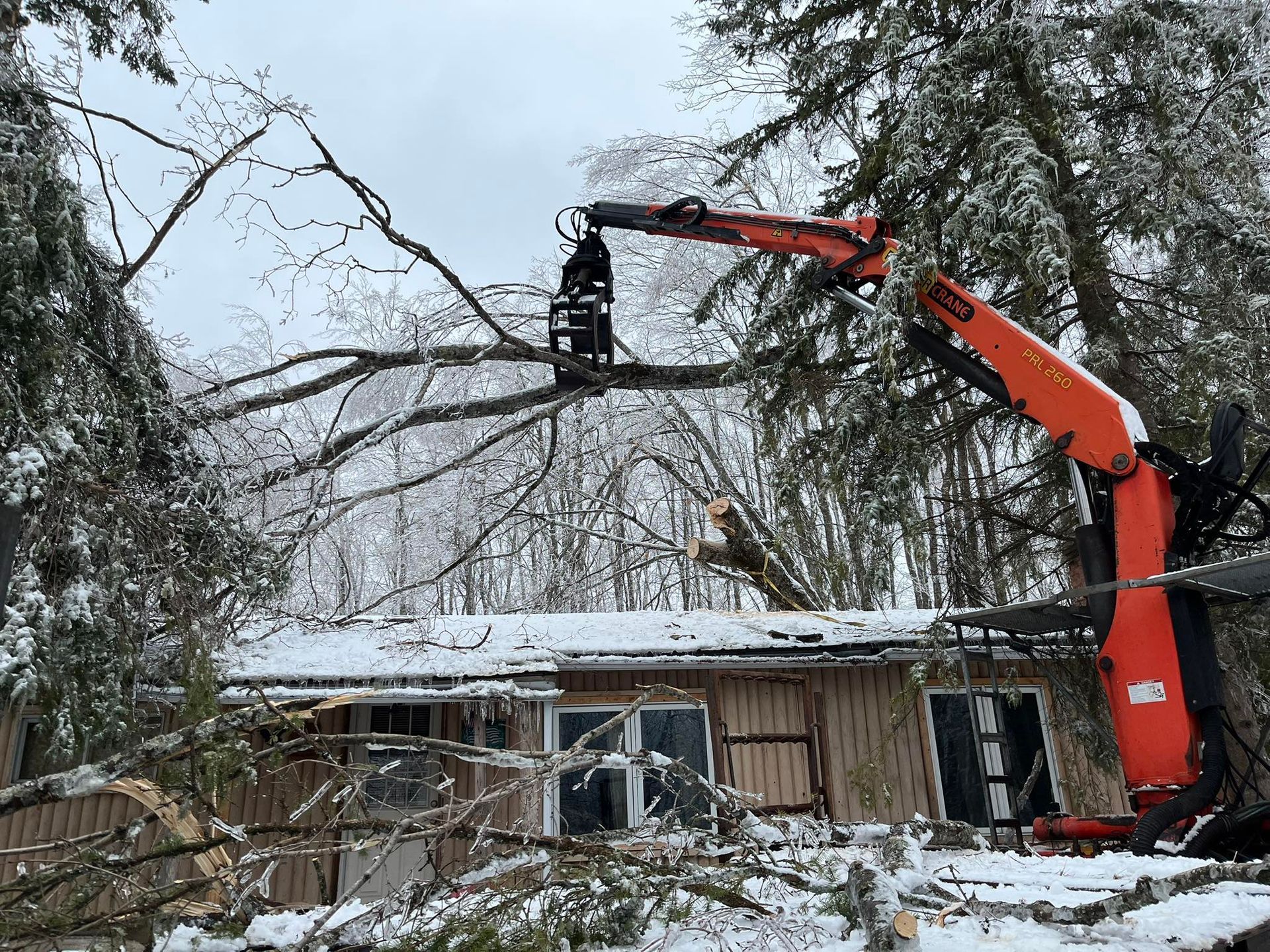 Tree Removal Lansing MI