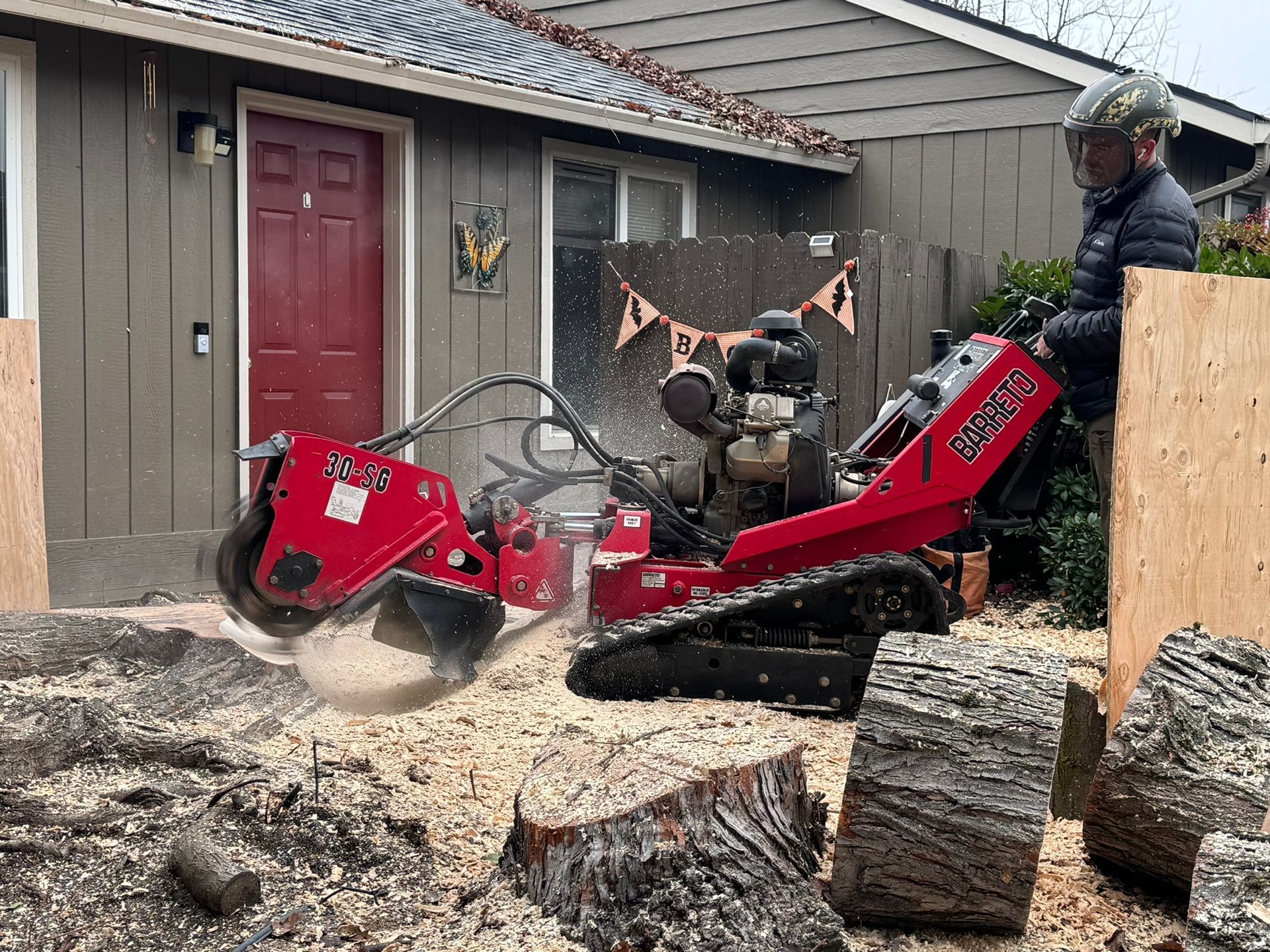 Stump Grinding Lansing Michigan