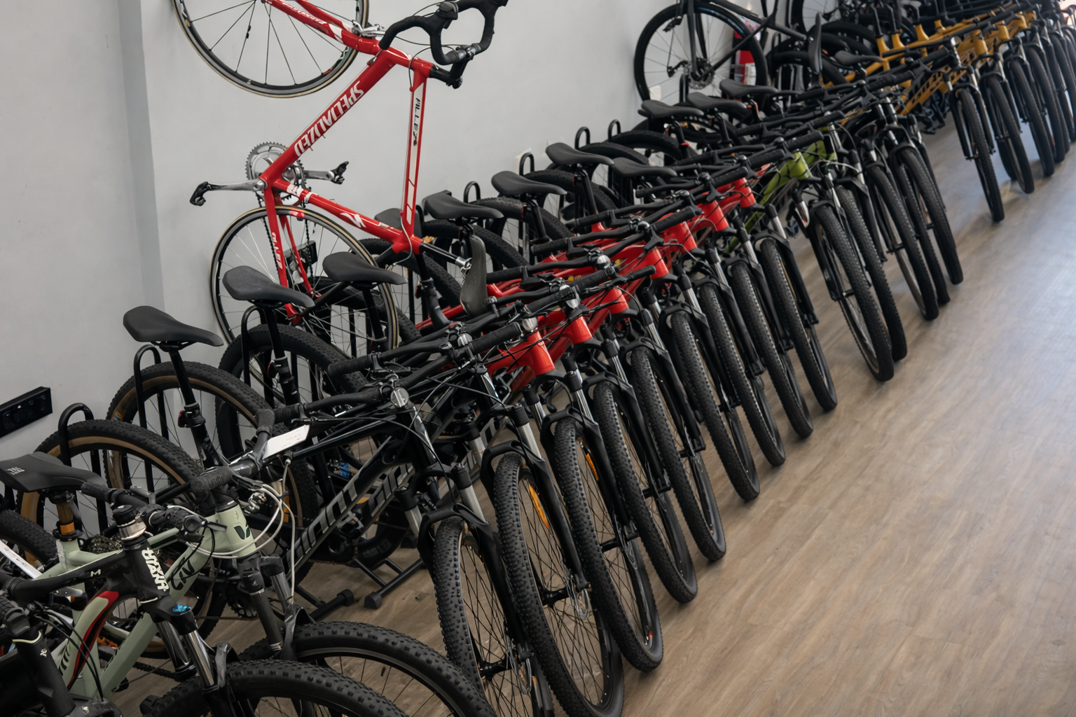Row of bicycles parked in a store, many black, red, and a few green — Grafton City Cycles in Grafton, NSW