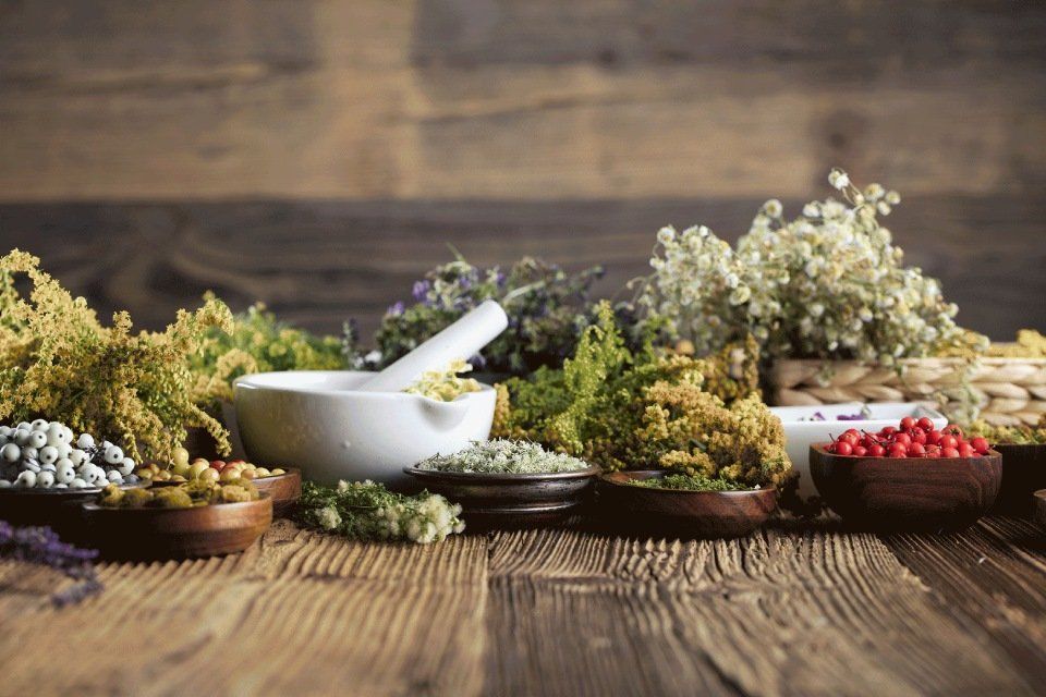 erbe per fitoterapia