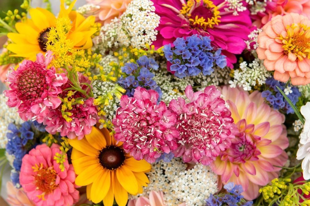 Colorful bouquet of zinnias, sunflowers, and other flowers in pinks, yellows, oranges, blues, and whites.