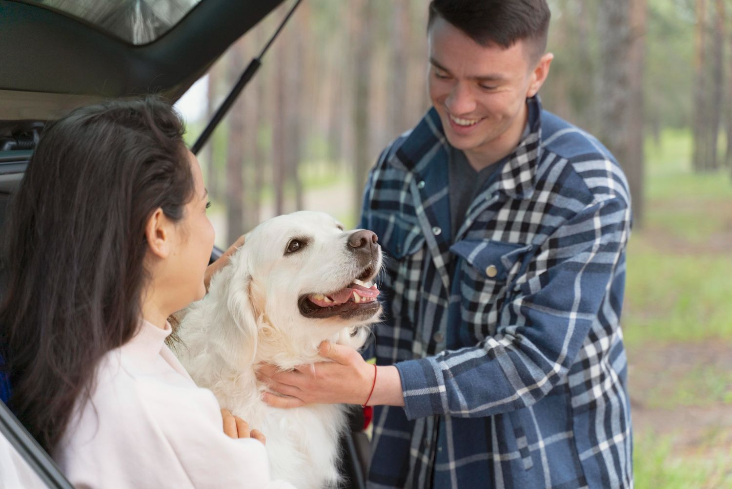 A man and a woman are petting a dog in the back of a car.