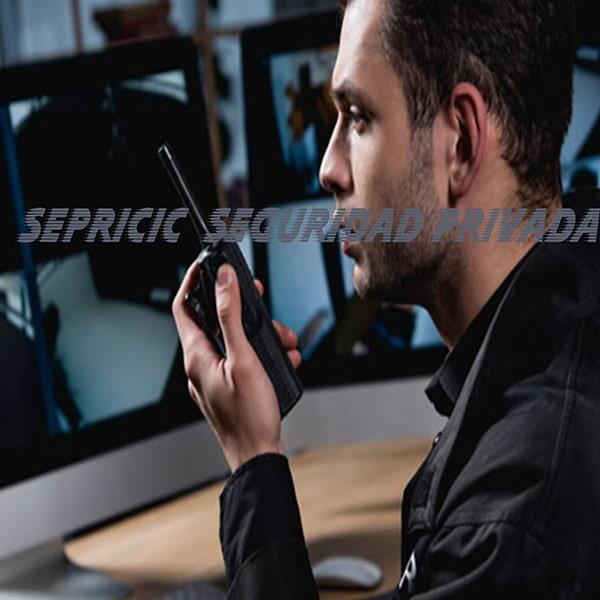SEPRICIC SEGURIDAD PRIVADA