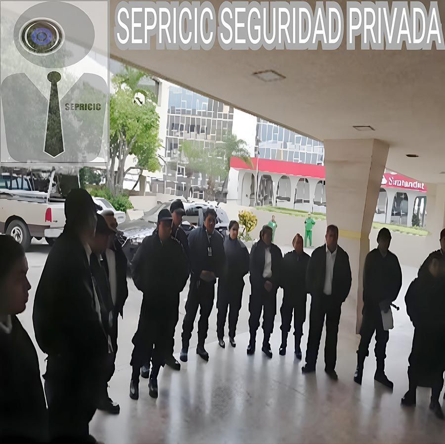SEPRICIC SEGURIDAD PRIVADA