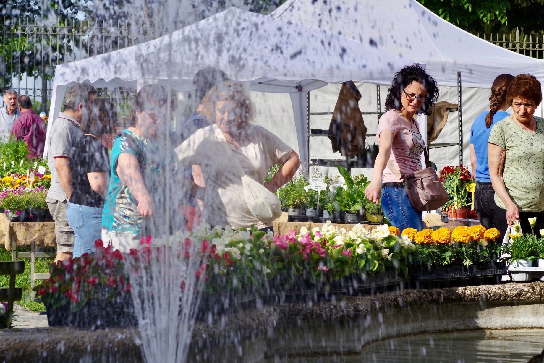 Persone che curiosano nel mercato dei fiori vicino a una fontana.