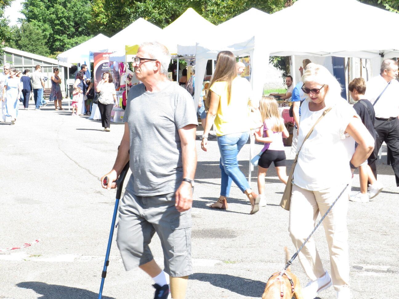 Persone in un mercato all'aperto con le tende dei venditori. Un uomo cammina con un bastone; una donna porta a spasso un cane. Giornata di sole.