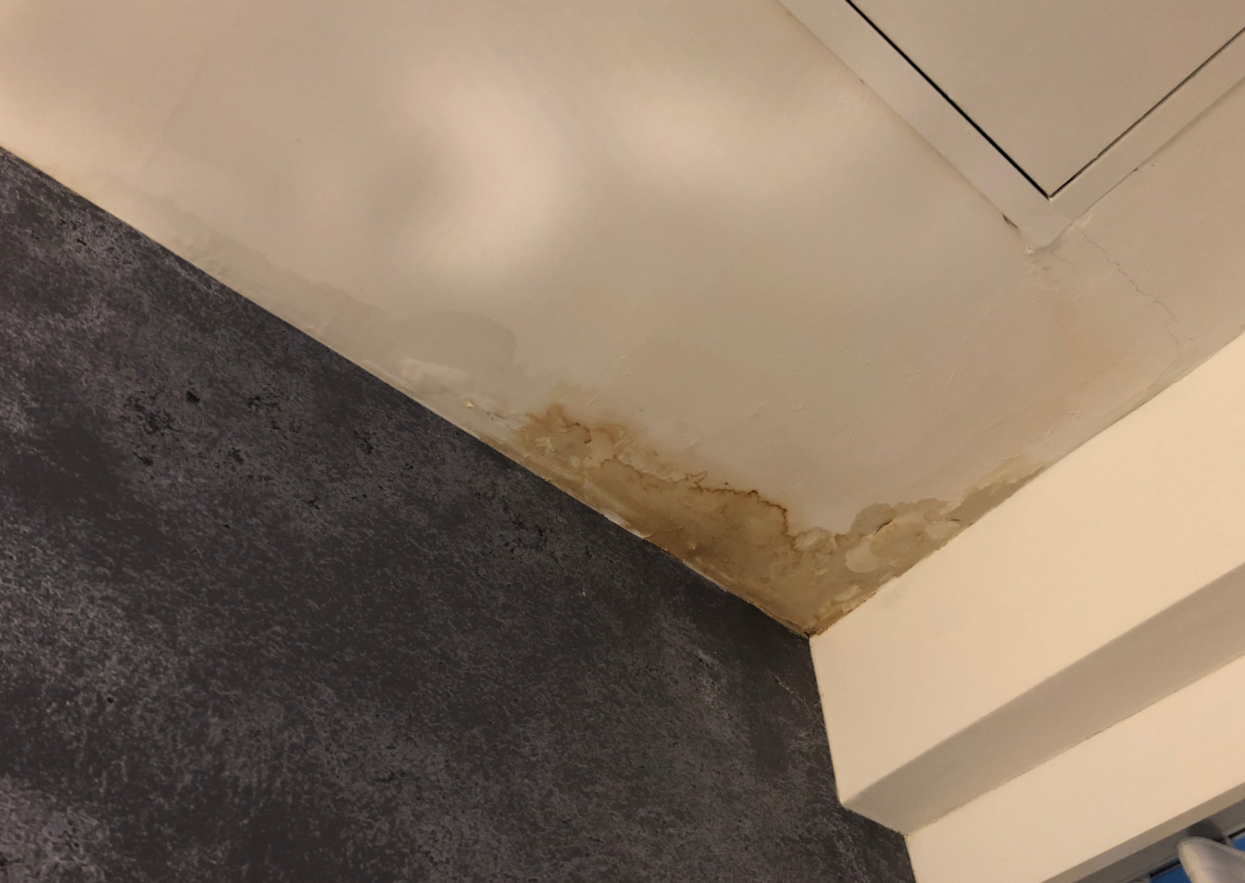 Water Dripping from Your Ceiling? Here’s What It Really Means