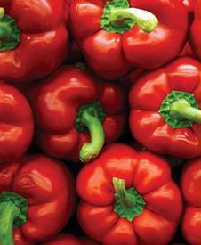 Pile of red bell peppers with green stems stacked closely together