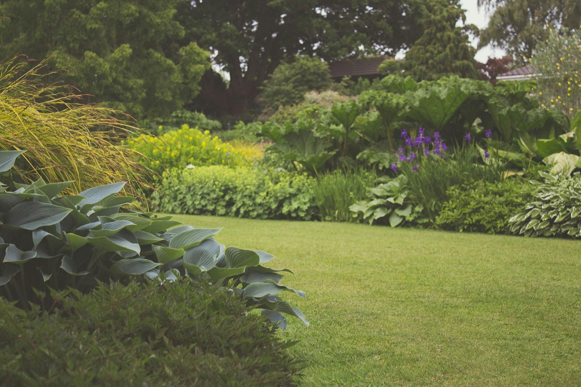 Green lawn bordered by lush, diverse garden with trees and various green, yellow, and purple foliage.