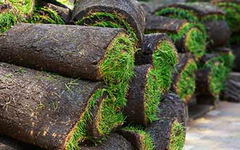 Hydro Seeding — Turf Grass in Baker, FL