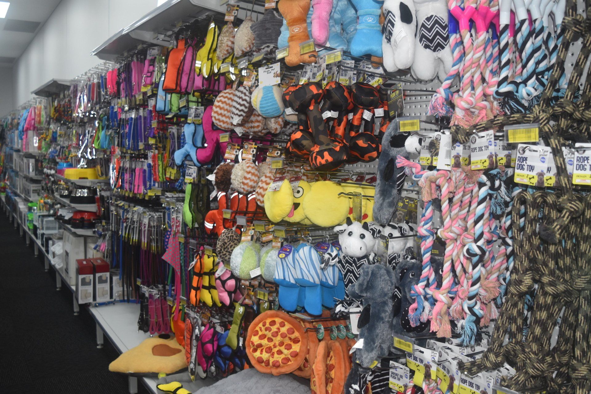 Wide Range of Dog Toys — Pet Accessories in Alice Springs, NT