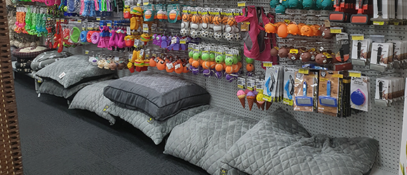 Large Range of Dog Beds — Pet Accessories in Alice Springs, NT