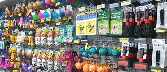 Dog Toys and Grooming Equipment — Pet Accessories in Alice Springs, NT