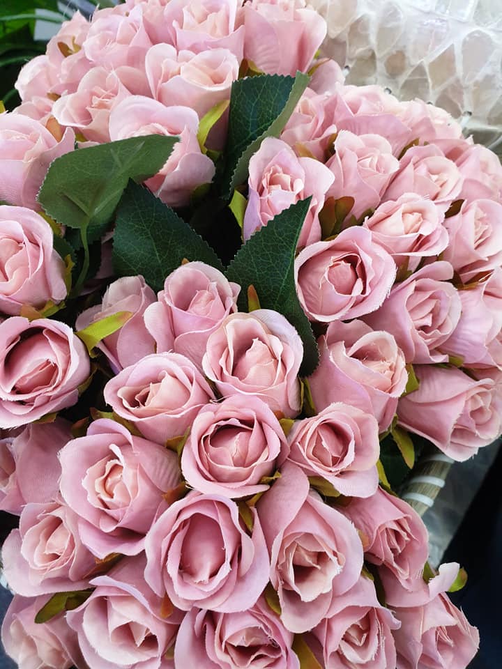 Pink Roses — Discount Variety Store in Alice Springs, NT