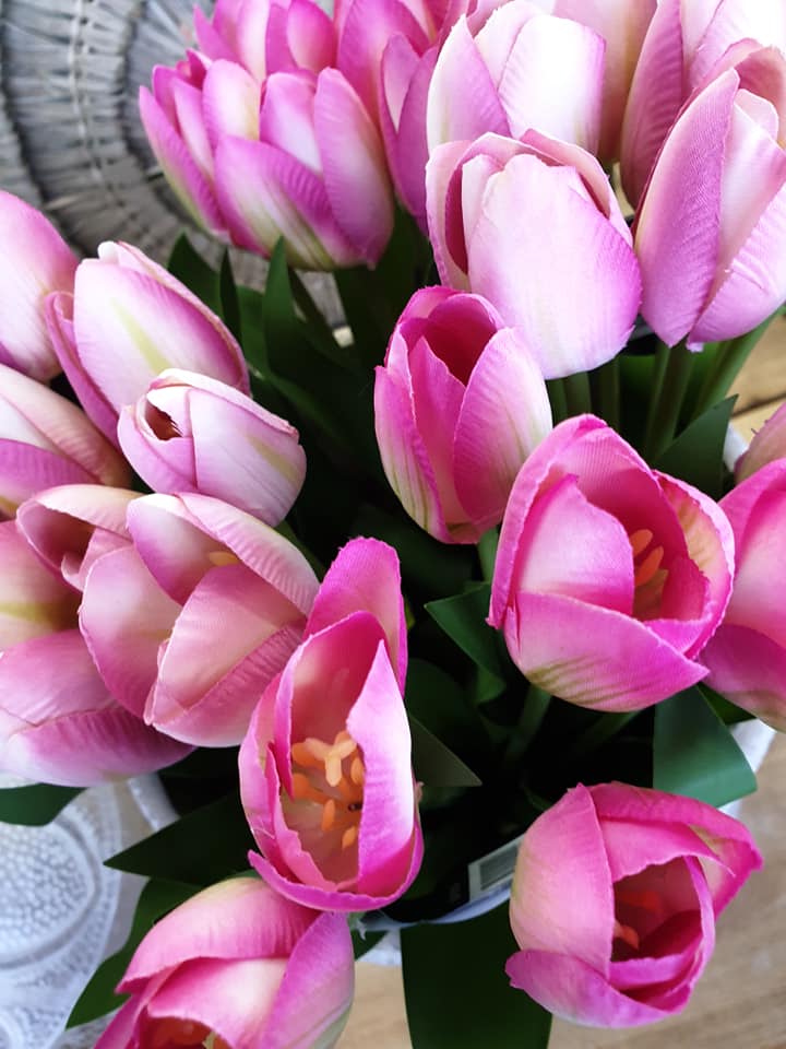 Pink Tulips — Discount Variety Store in Alice Springs, NT