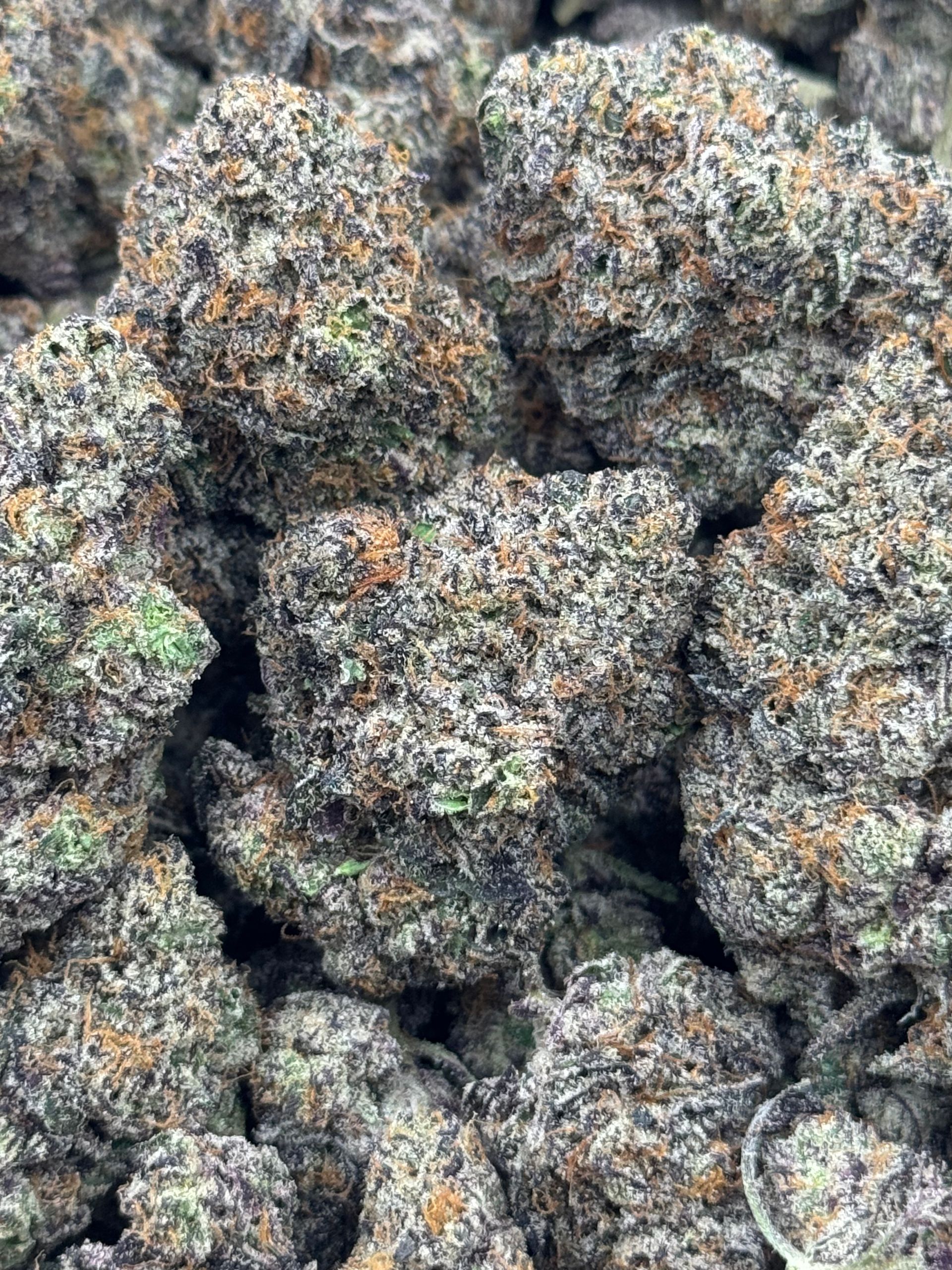 Ice Cream Cake *Batch #2*