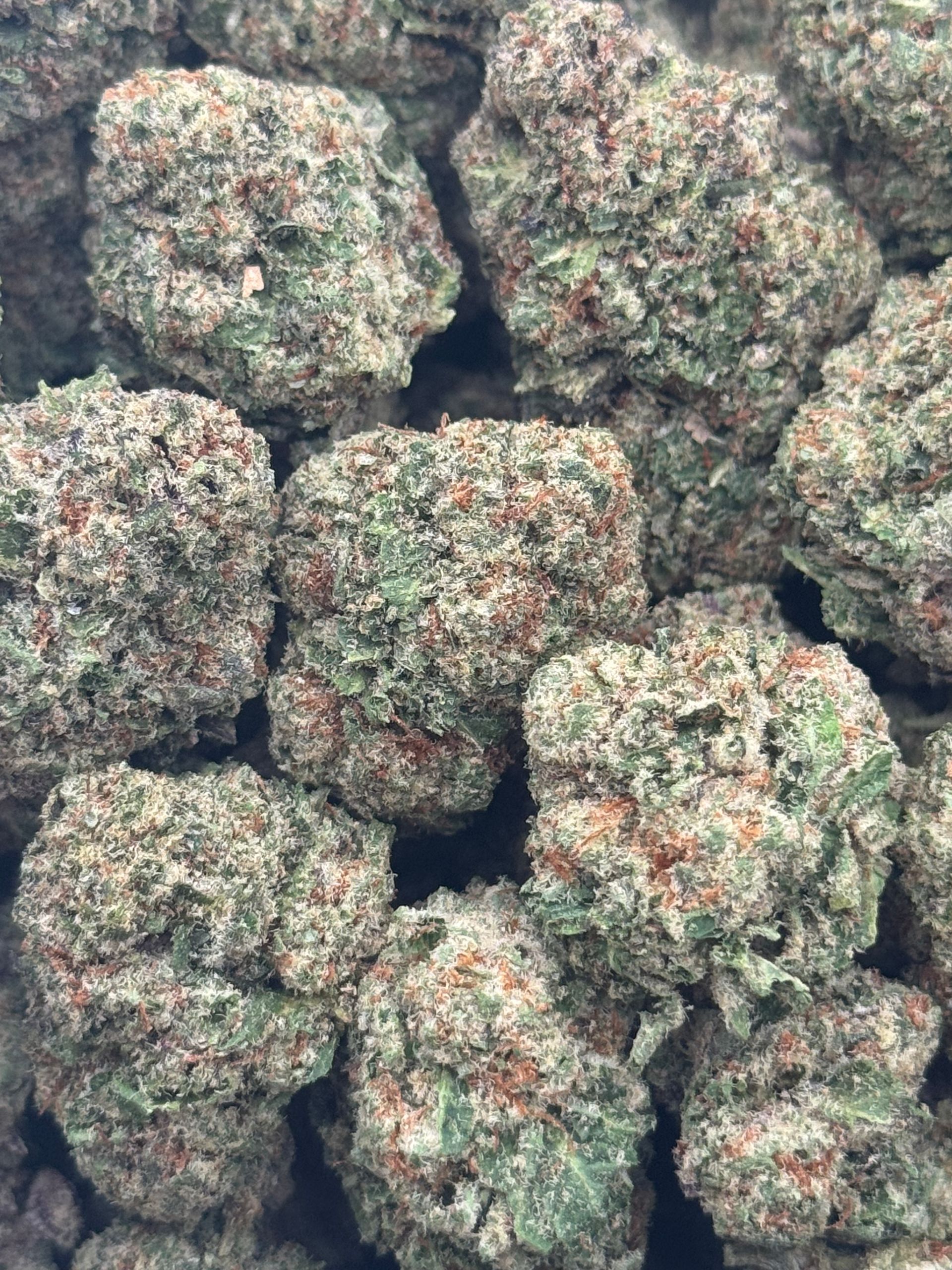 Illuminati OG