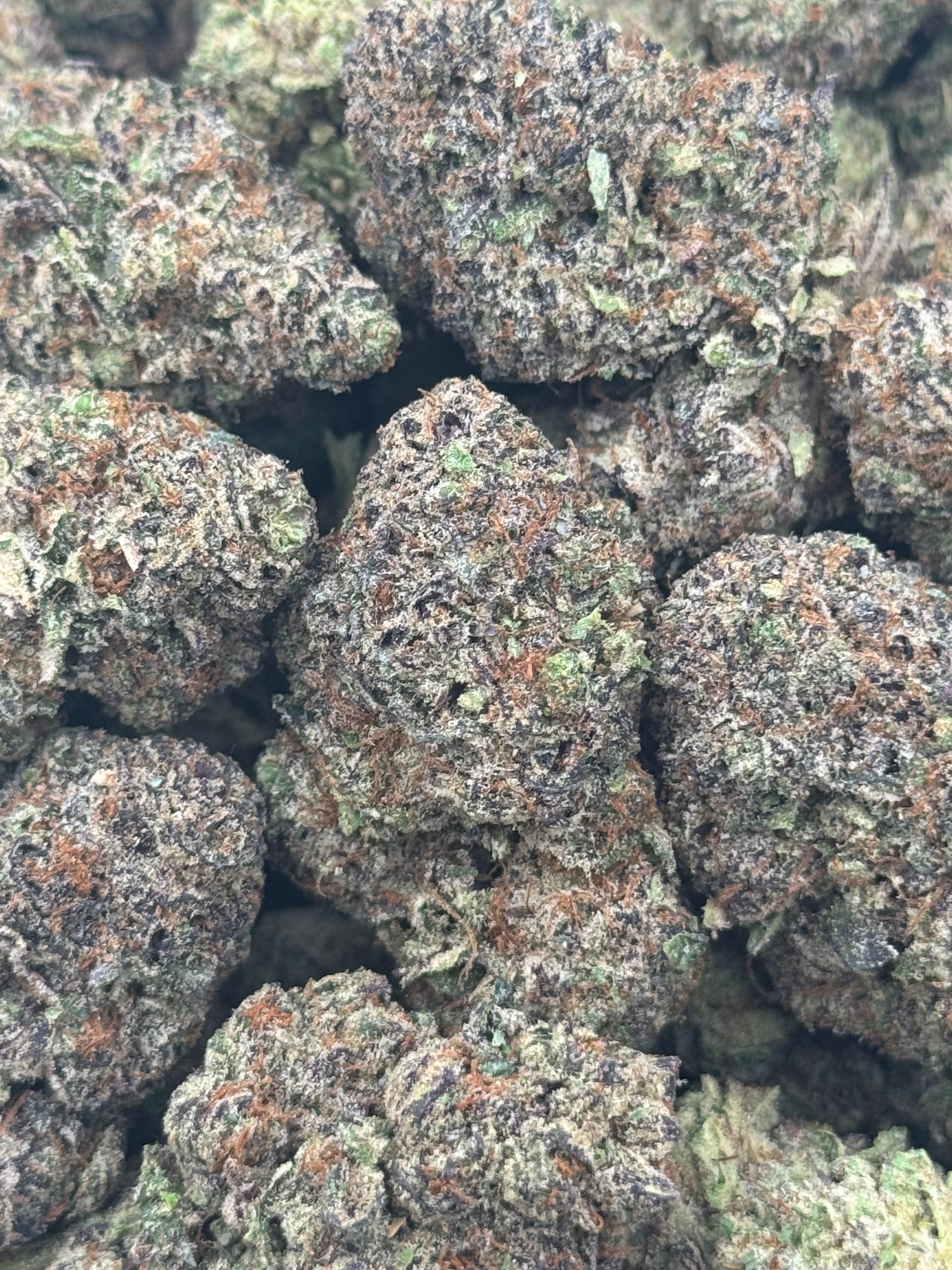 Sugar Berries