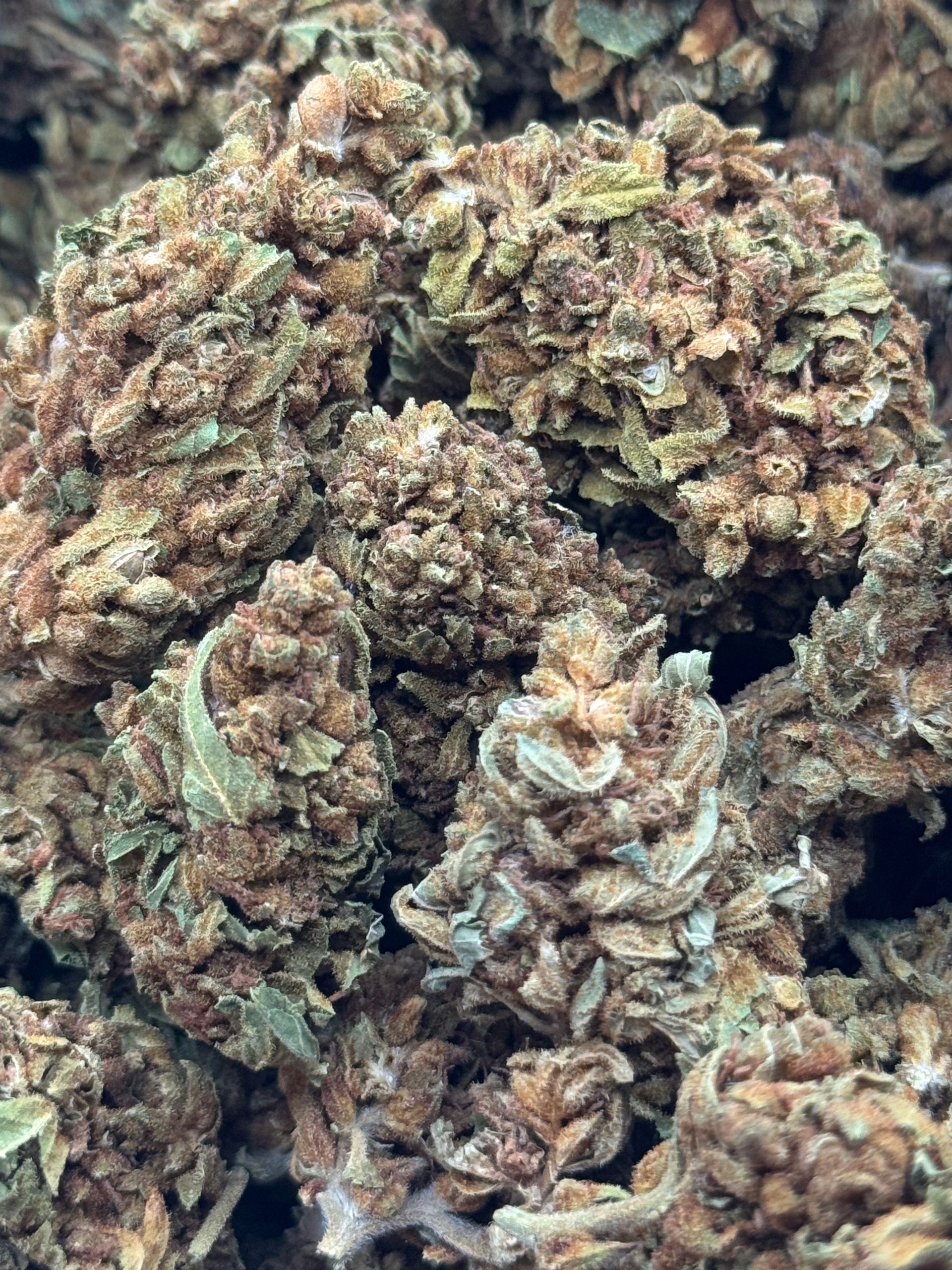 Columbian Gold