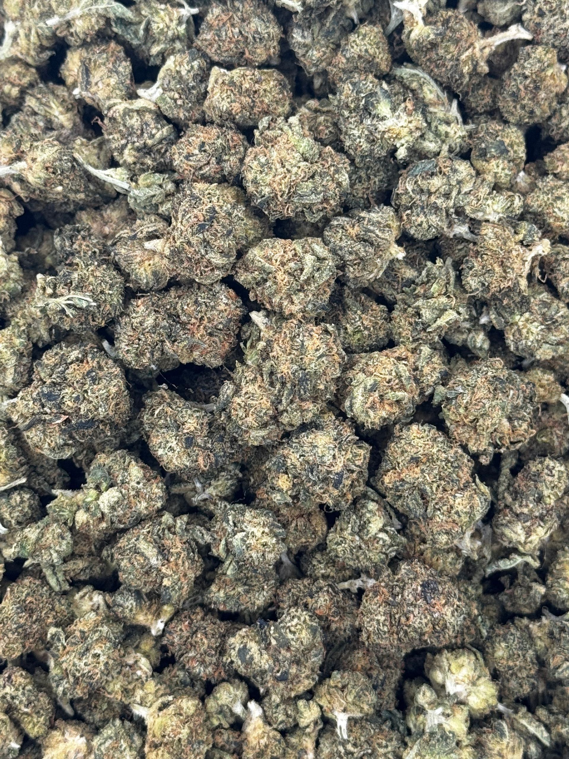 Blue Dream X Zkittlez