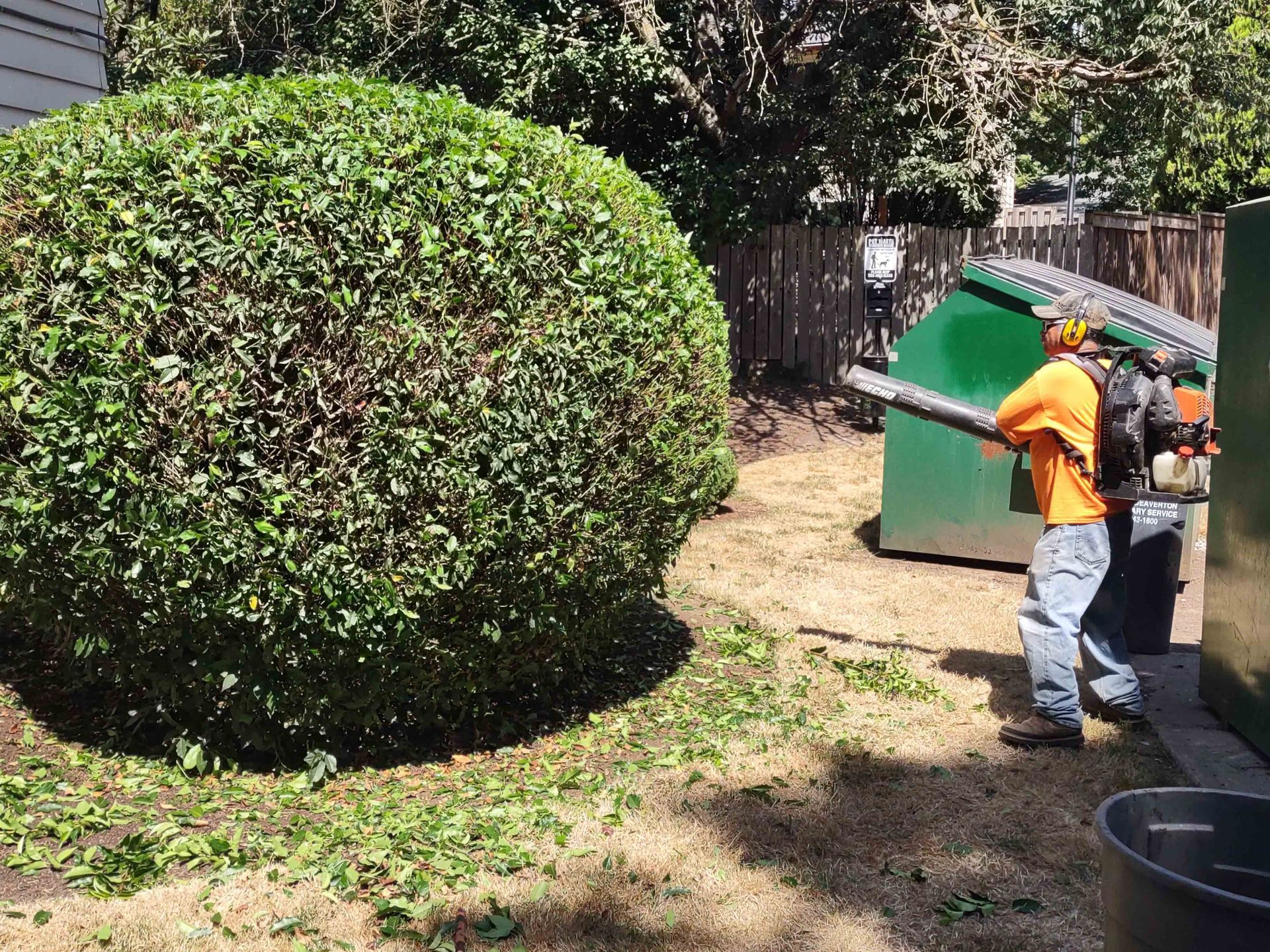 Worker Using Blower to Remove Dried Leaves – Woodburn, OR – Jacob's Yard Maintenance