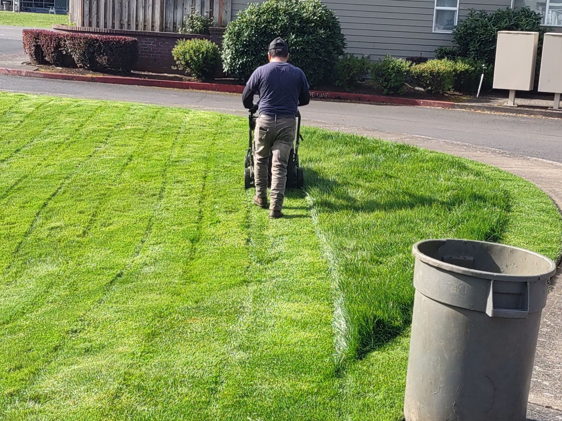 After Tree Trimming – Woodburn, OR – Jacob's Yard Maintenance