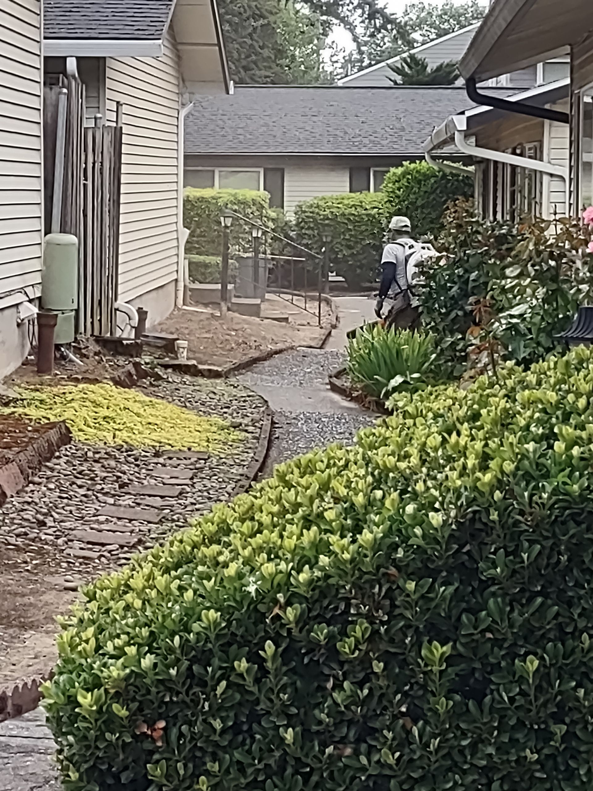 Worker Using Blower to Remove Dried Leaves – Woodburn, OR – Jacob's Yard Maintenance