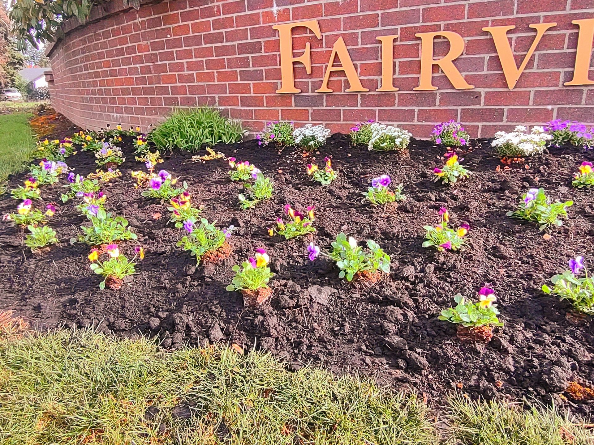 After Tree Trimming – Woodburn, OR – Jacob's Yard Maintenance