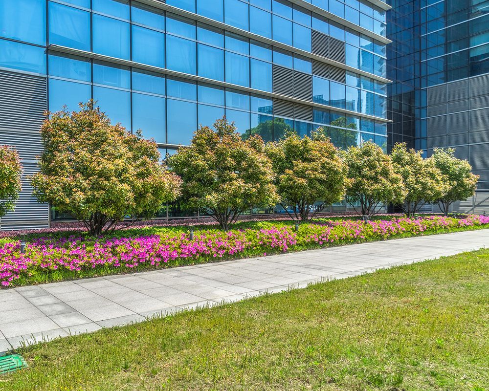 Trees in Front of the Building – Woodburn, OR – Jacob's Yard Maintenance