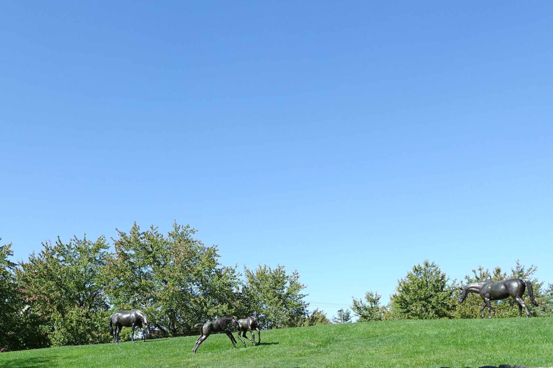 A sunny day with horse statues in the foreground, a field, a treeline, and a blue sky.